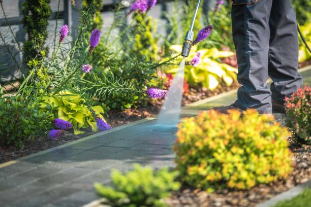 Best Sidewalk and Walkway Cleaning  in Harriman, NY
